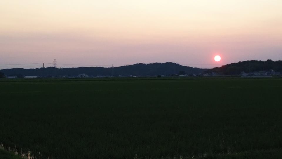 農薬不使用ササニシキ田伝むしの除草作業