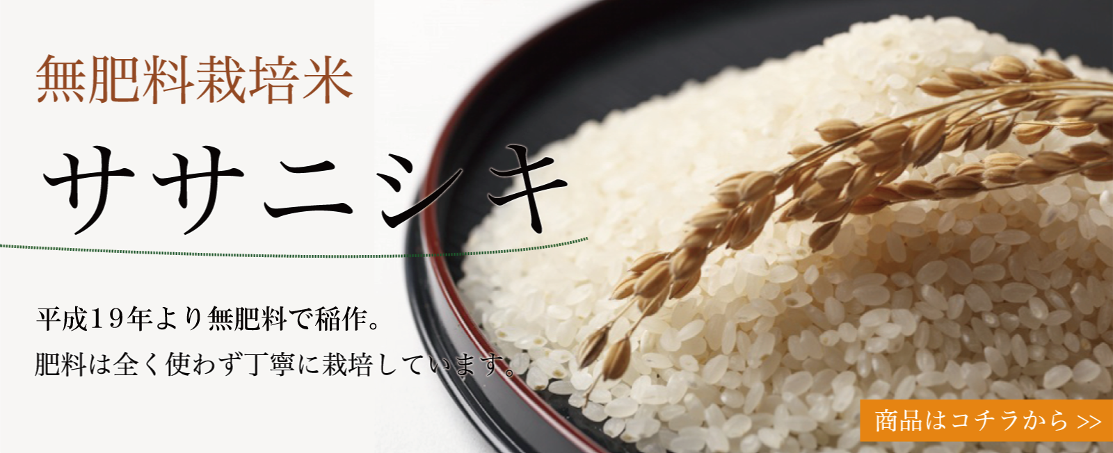 無肥料栽培米ササニシキ
