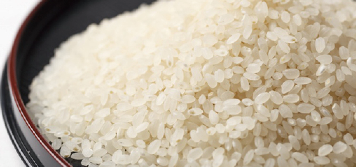 ササニシキについて 無農薬ササニシキの専門店 田伝むし