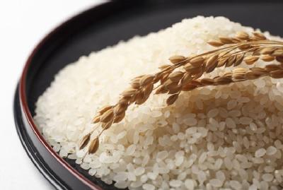 【特別栽培米】ササニシキ　胚芽米　５kg