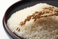 【特別栽培米】ササニシキ　白米　５kg