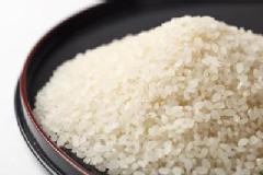 【無肥料自然栽培米】ササニシキ　白米　3kg