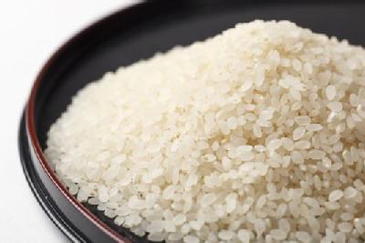 【無肥料自然栽培米】ササニシキ　白米　5kg