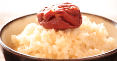 【特別栽培米】ササニシキ　胚芽米　３kg